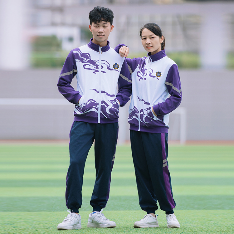 初高中春秋运动款校服